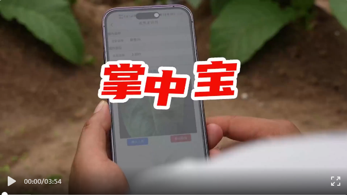 企業(yè)微信截圖_17177455661880.png